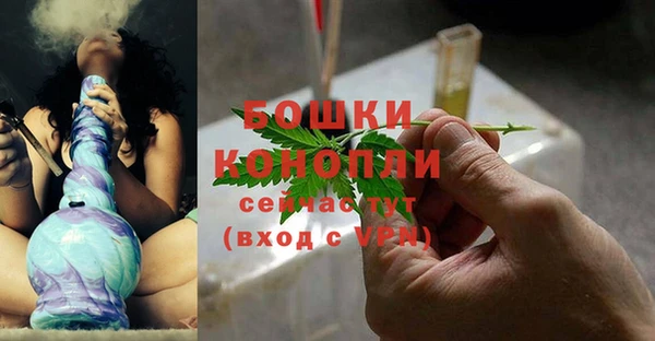 мдпв Верея
