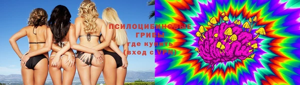 шишки Ростов