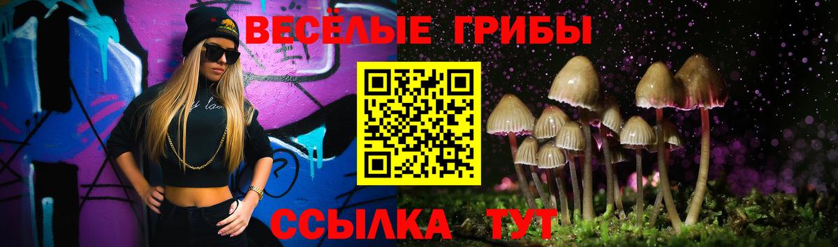 цена   Псилоцибиновые грибы мицелий  Вход с VPN  Смоленск  Псилоцибиновые грибы MAGIC MUSHROOMS 